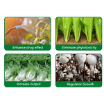 DA-6 Powder Factory - Diethyl Aminoethyl Hexanoate 98% TC Plant Regulator