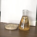 Amino Acid Fertilizer Manufacturer - 90% Water Soluble Powder for Flowers Fruit