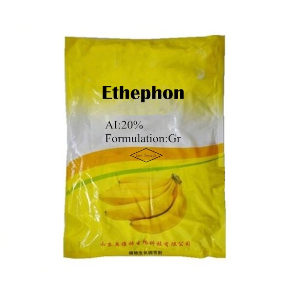 Ethephon Manufacturer - 20% GR Plant Growth Regulator for Fruit Ripening