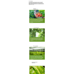 Amino Acid Fertilizer Manufacturer - 90% Water Soluble Powder for Flowers Fruit