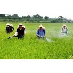 Etoxazole Manufacturer - 97% TC Fungicide WDG CAS 153233-91-1