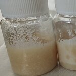 Meperfluthrin Manufacturer - 95% TC CAS 352271-52-4 Mosquito Chemical