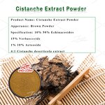 Cistanche Deserticola Extract - Factory 20:1 10:1 Tubulosa Root Powder