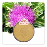 Milk Thistle Extract Powder - 80% Silymarin Organic Food Grade Drum Packaging