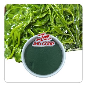 Spirulina Powder - Wholesale 100% Pure Natural Food Grade Bulk Superfood