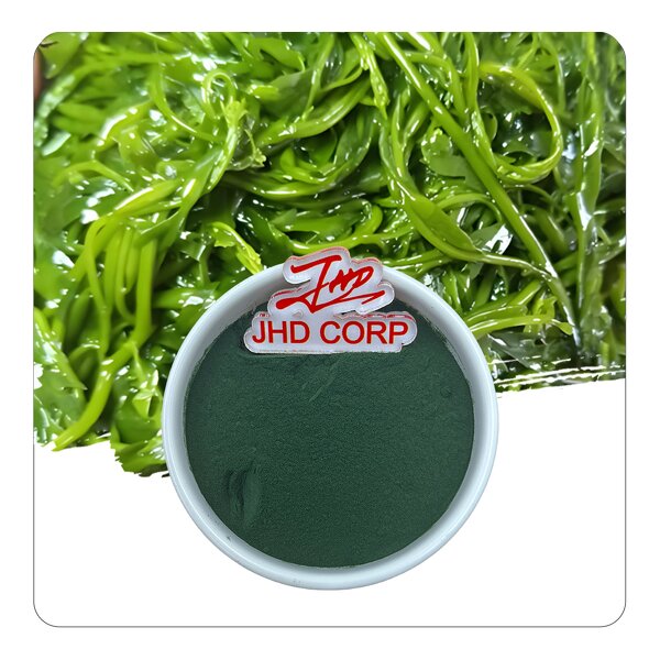 Spirulina Powder - Wholesale 100% Pure Natural Food Grade Bulk Superfood