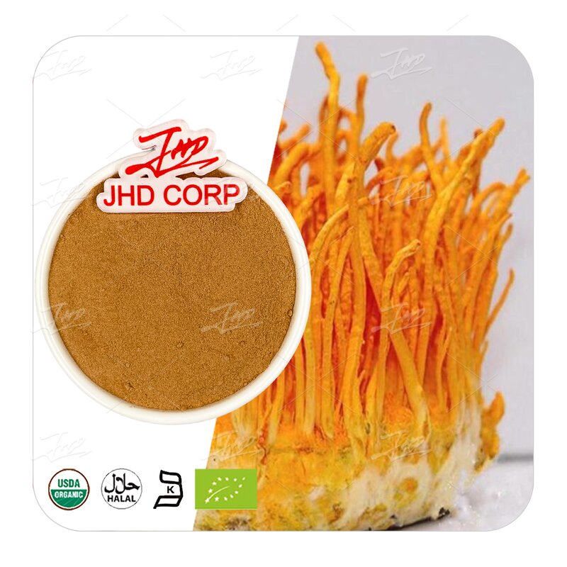 Cordyceps Militaris Extract Powder - USA/EU Dual Extract Cordycepin Beta Glucan Polysaccharides