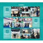 L-Theanine Powder - USA/EU Green Tea Extract 20% 40% Organic Certified Drum Pack