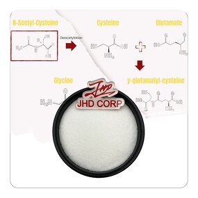 NAC Powder - USA EU N-acetyl-l-cysteine CAS 616-91-1 Food Grade Supplement