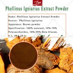 Sang Hwang Mushroom Extract - US EU 100% Natural Phellinus Linteus Powder