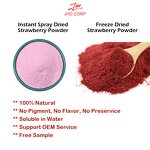 Strawberry Fruit Powder - USA EU Organic Freeze Dried Food Grade Drum Pack