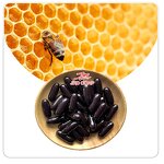 Bee Propolis Softgel - Factory 6% Flavones Improve Immunity ISO Certified Adult