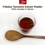 Tribulus Terrestris Extract - USA/EU 40%-98% Total Saponins Natural Powder