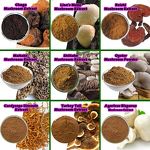AHCC Powder - JHD 50% 10%-50% Polysaccharides Shiitake Mushroom Extract Bulk