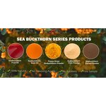 Sea Buckthorn Fruit Powder - USA EU Freeze Dried Natural Superfood Bulk