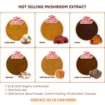 Organic Mushroom Extract Powder - USA/EU Lions Mane Reishi Cordyceps Chaga Turkey Tail