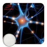 Spermidine Powder - JHD Wheat Germ Extract 99% Pure Supplement