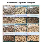 Herbal Mushroom Extract Powder - JHD USDA Organic Lions Mane Reishi Cordyceps Chaga