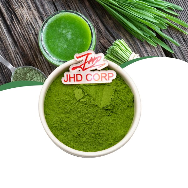 Barley Grass Juice Powder - USA EU Organic Green Superfood Bulk Supplement