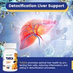 TUDCA Capsules - OEM Private Label Liver Cleanse Detox 500mg Tauroursodeoxycholic