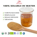 Lions Mane Mushroom Extract - US EU Organic Beta Glucans Polysaccharides Drum Pack