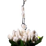 Silk Peptide Powder Manufacturer - Pure Anti-Aging for Adults