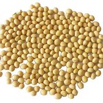 Soybean Peptide Powder Manufacturer - for Beauty Products Dosage Form