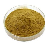 Luo Han Guo Extract Powder Manufacturer - Organic Mogroside V 10% Food Grade Drum