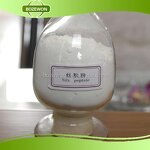 Silk Peptide Powder Manufacturer - Anti-Aging for Adults