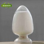 Hydrolyzed Chicken Collagen Powder Manufacturer - Type II Premium Adult Supplement