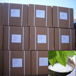 Mulberry Leaf Extract Powder Manufacturer - Sodium Magnesium Chlorophyllin HPLC Drum