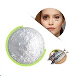Collagen Peptide Powder Manufacturer - Food Grade Bulk for Daily Nutrition & OEM