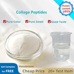 Hydrolyzed Bovine Collagen Powder Manufacturer - Healthcare Supplement Wholesale Halal