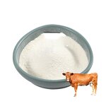 Hydrolyzed Bovine Collagen Peptide Powder Manufacturer - 90% Protein from Bone Skin