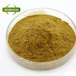 Dandelion Root Extract Powder Manufacturer - Food Grade Herbal Supplement Drum