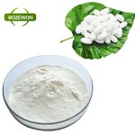 Silk Peptide Powder Manufacturer - Anti-Aging for Adults
