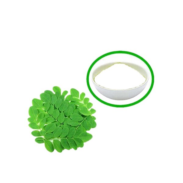 Mulberry Leaf Extract Powder Manufacturer - Sodium Magnesium Chlorophyllin HPLC Drum