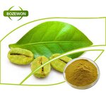 Luo Han Guo Extract Powder Manufacturer - Organic Mogroside V 10% Food Grade Drum