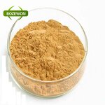 Ginseng Extract Powder Manufacturer - American Korean Red Root 100% Natural in Drum
