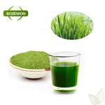 Barley Grass Juice Powder Manufacturer - Organic Herbal Supplement High Quality