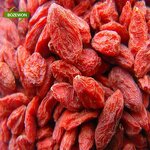 Organic Goji Berries Manufacturer - Sweet Dried AD Drying Vacuum Pack Free Samples
