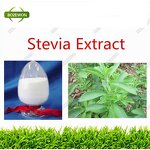 Stevioside Powder Manufacturer - Food Grade Wild Cultivated Well Priced Drum