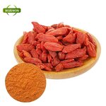 Dried Goji Berries Manufacturer - Water-Preserved AD Drying Vacuum Pack