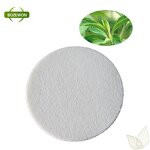Stevioside Powder Manufacturer - Food Grade Wild Cultivated Well Priced Drum