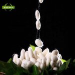 Silk Peptide Powder Manufacturer - Anti-Aging for Adults