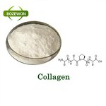 Collagen Peptide Powder Manufacturer - Bovine & Fish Type I for Beauty Adult Use