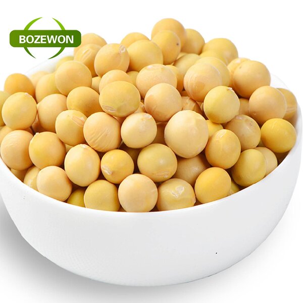 Soybean Isoflavone Extract Powder Manufacturer - Food Grade Water Soluble 20%-60% Drum