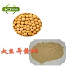 Soybean Isoflavone Extract Powder Manufacturer - Food Grade Water Soluble 20%-60% Drum