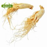 Ginseng Extract Powder Manufacturer - American Korean Red Root 100% Natural in Drum