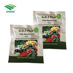 Gibberellic Acid GA3 - 90%TC 10% 15% Tablet Plant Growth Regulator